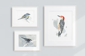 Black and White Warbler Watercolor Print, Small Bird Wall Art