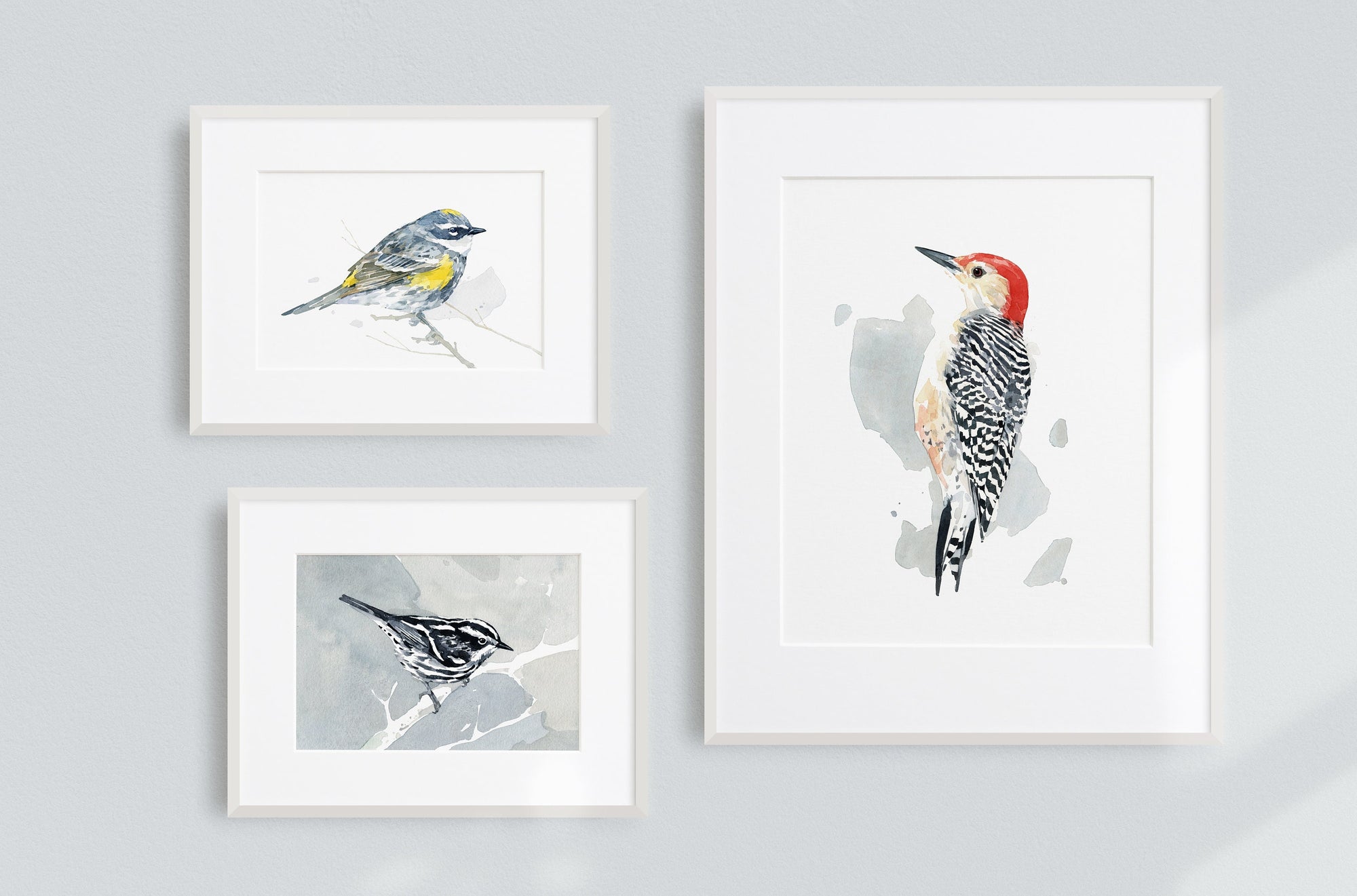Red-bellied Woodpecker Print Watercolor Bird Painting, Bird Wall Art