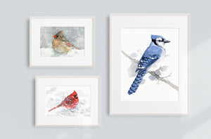 Red Cardinal in Snow Watercolor Painting, 5x7 Bird Art Print