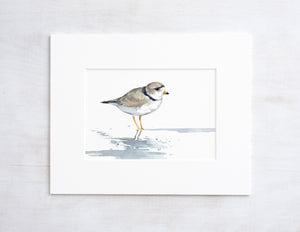 Piping Plover Watercolor Print, Sandpiper Beach Painting
