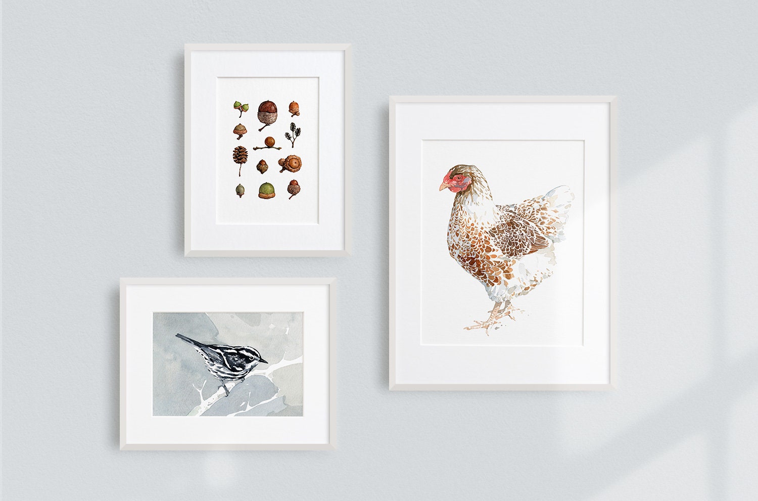 Chicken Watercolor Print, White and Brown Hen, 8x10 Farm Animal Print