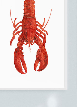 Red Lobster Watercolor Painting Print