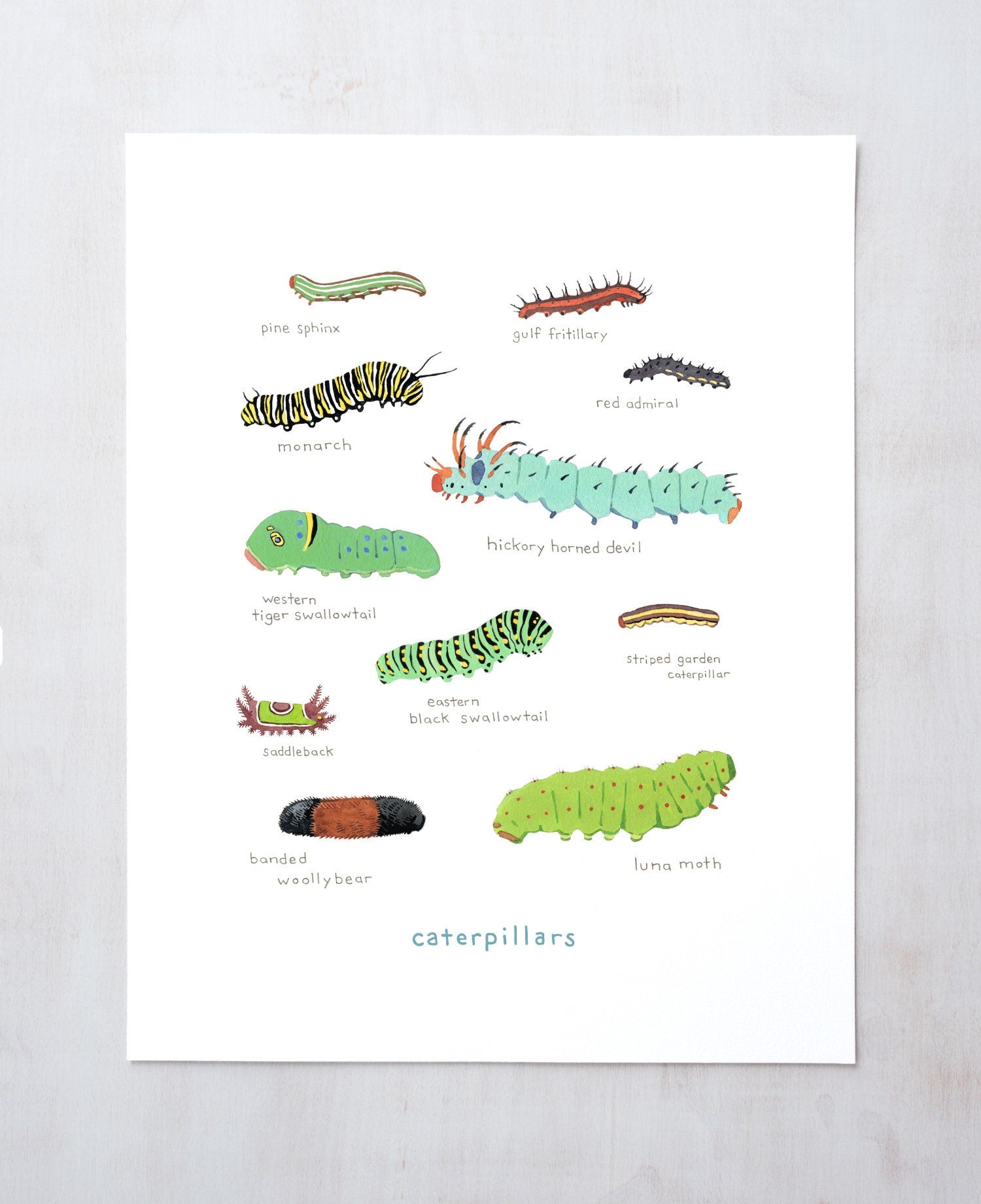 Caterpillars Print, Colorful Kids Art Print, Nature Painting, Kids Science Art