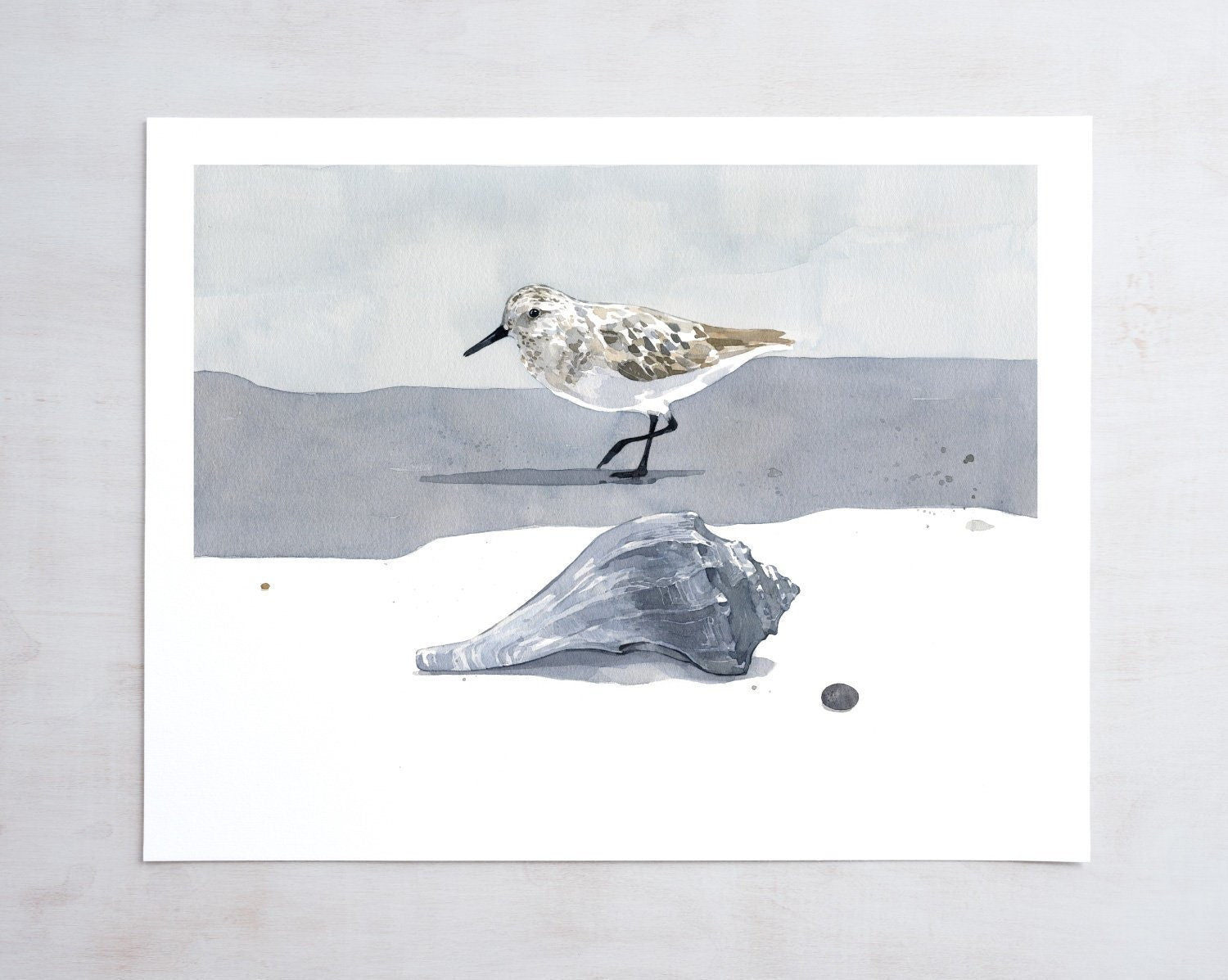 Sandpiper and Whelk Watercolor Print, Beach Bird Wall Art, Living Room Wall Art