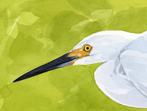 Snowy Egret Watercolor Print, Coastal Wall Art, Bird Painting