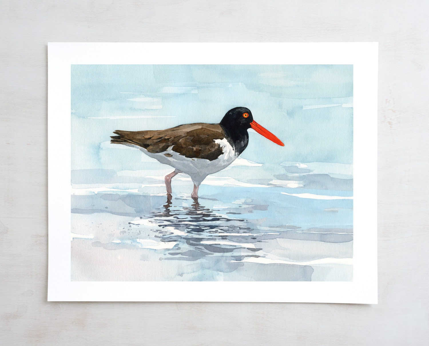 Oystercatcher, Print Beach Watercolor, Bird Wall Art, Coastal Bird Print