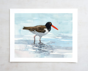 Oystercatcher, Print Beach Watercolor, Bird Wall Art, Coastal Bird Print