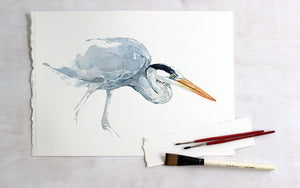 Great Blue Heron Watercolor Study Print, Coastal Bird Wall Art