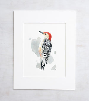 Red-bellied Woodpecker Print Watercolor Bird Painting, Bird Wall Art
