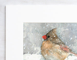 Female Cardinal Watercolor Art Print, Bird In Snow Painting, Backyard Birds