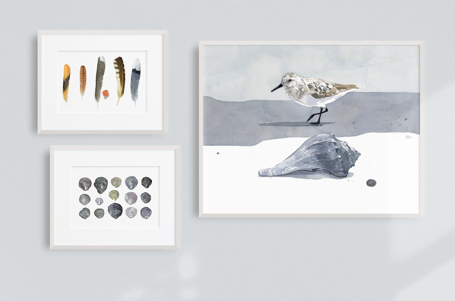 Sandpiper and Whelk Watercolor Print, Beach Bird Wall Art, Living Room Wall Art