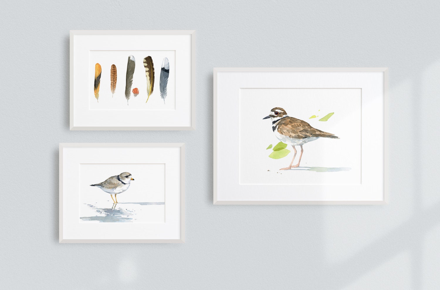 Piping Plover Watercolor Print, Sandpiper Beach Painting