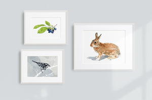 Black and White Warbler Watercolor Print, Small Bird Wall Art