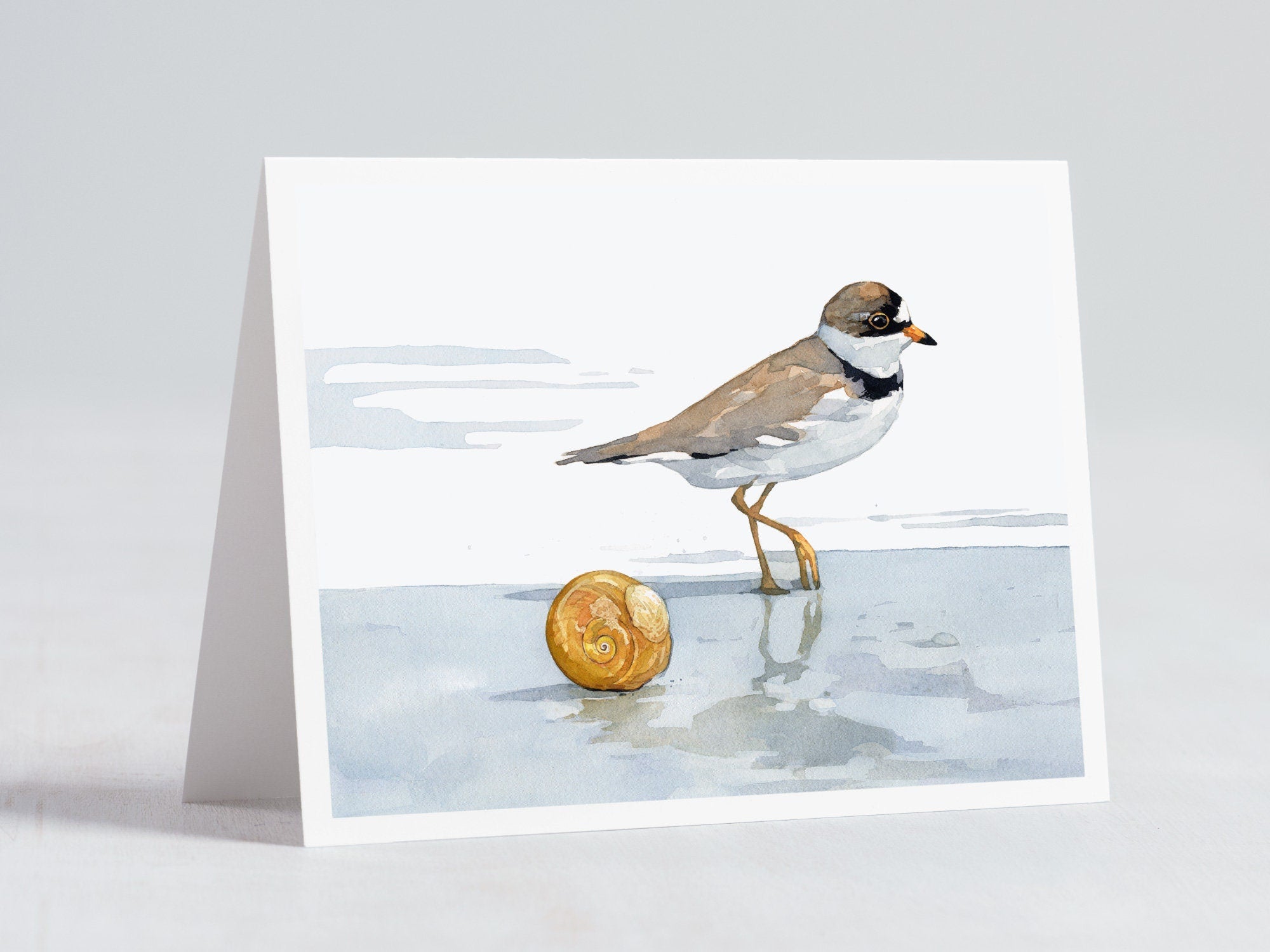Shorebird Beach Card Set, Mixed Bird Art Stationery Gift Set