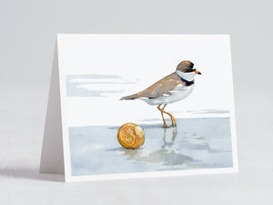 Shorebird Beach Card Set, Mixed Bird Art Stationery Gift Set