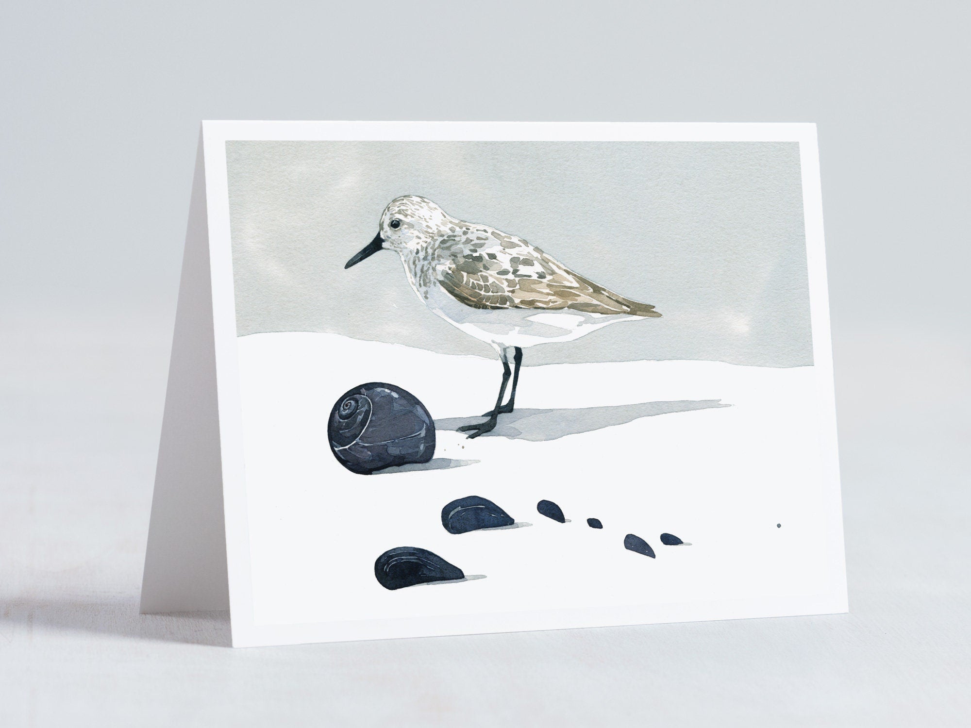 Shorebird Beach Card Set, Mixed Bird Art Stationery Gift Set