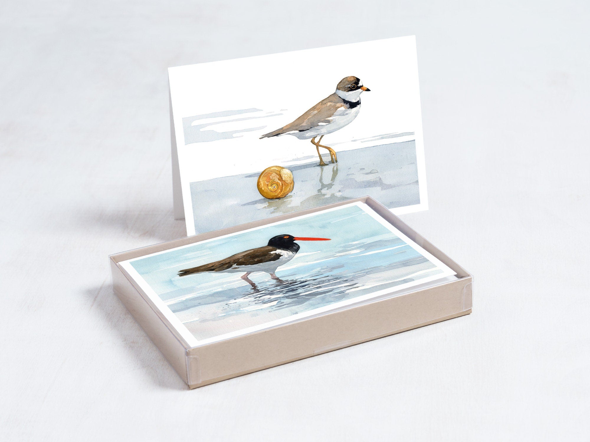 Shorebird Beach Card Set, Mixed Bird Art Stationery Gift Set
