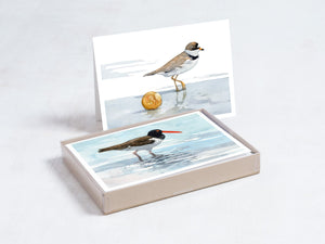 Shorebird Beach Card Set, Mixed Bird Art Stationery Gift Set