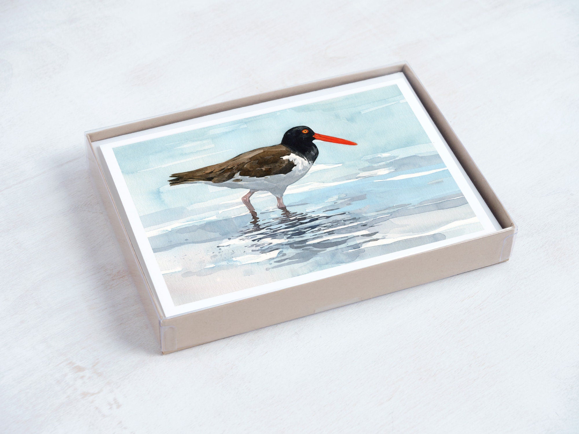 Shorebird Beach Card Set, Mixed Bird Art Stationery Gift Set