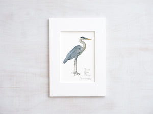 Heron Miniature Art Print, Great Blue Heron Watercolor Painting