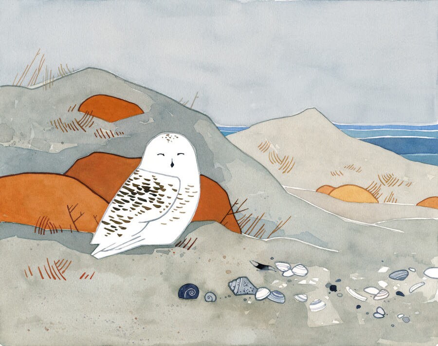 Snowy Owl Beach Watercolor Print, Winter Seashore Art Print