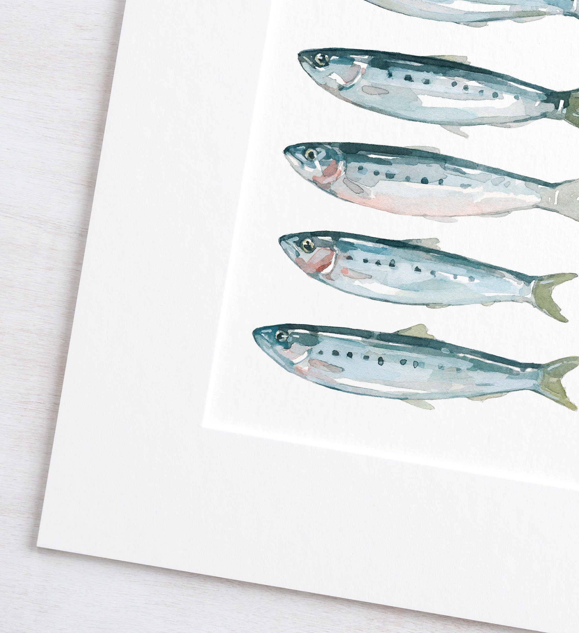 Sardines Fish Watercolor Art Print, Coastal Kitchen Art