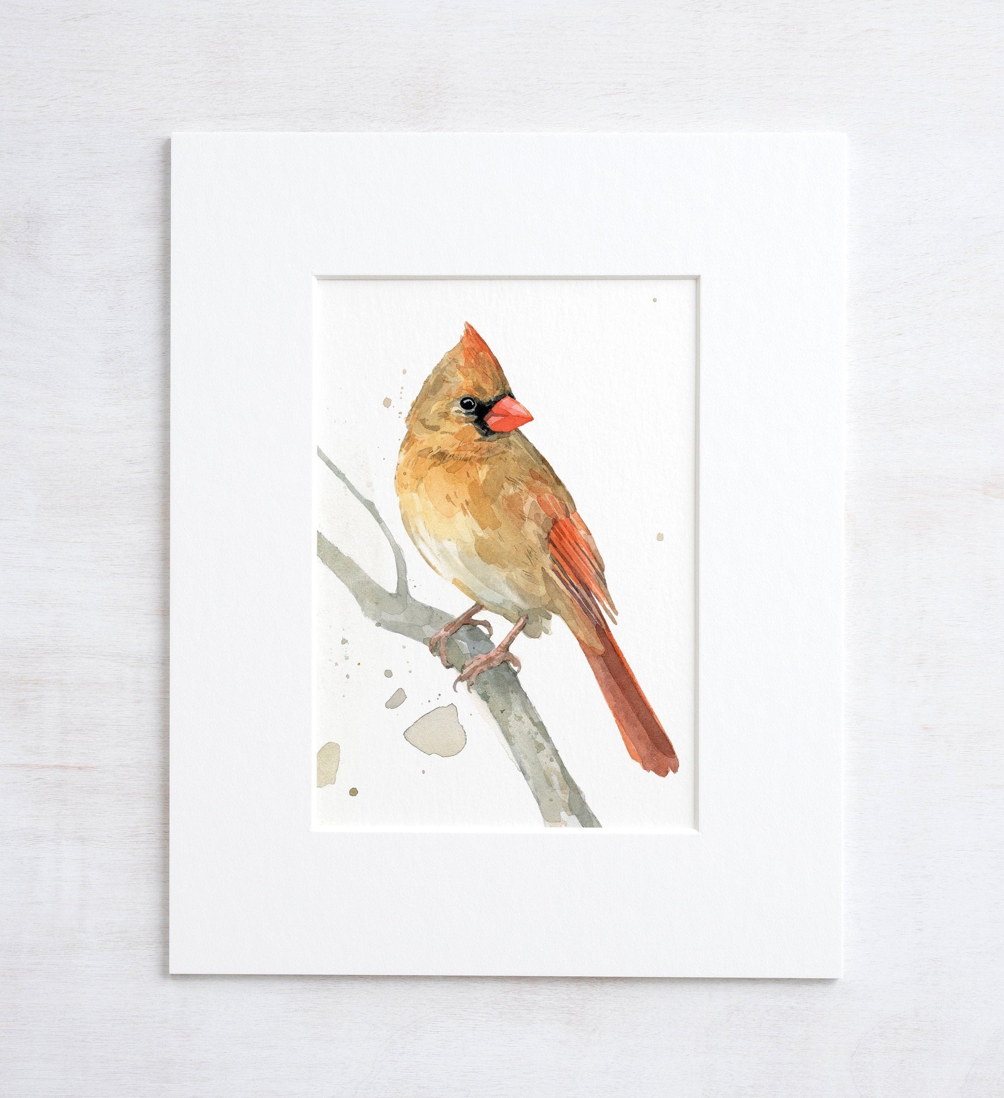 Female Cardinal Watercolor Print, Bird Painting