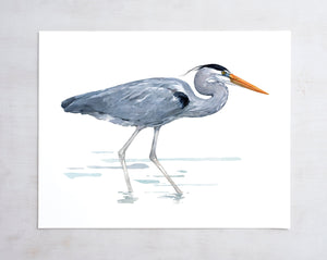 Great Blue Heron Watercolor Art Print, Large Bird Art