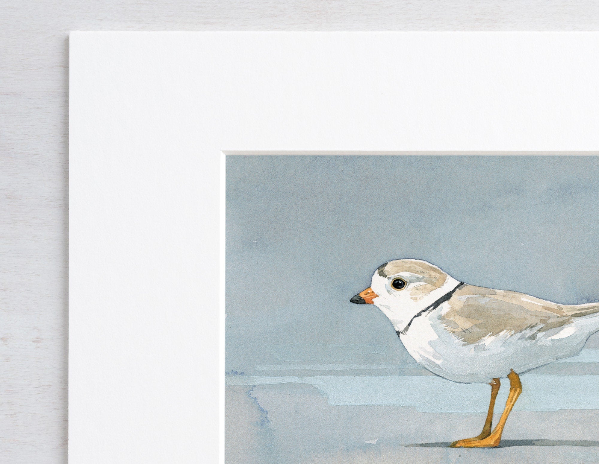 Piping Plover Beach Art Print, Coastal Decor Seashore Wall Art