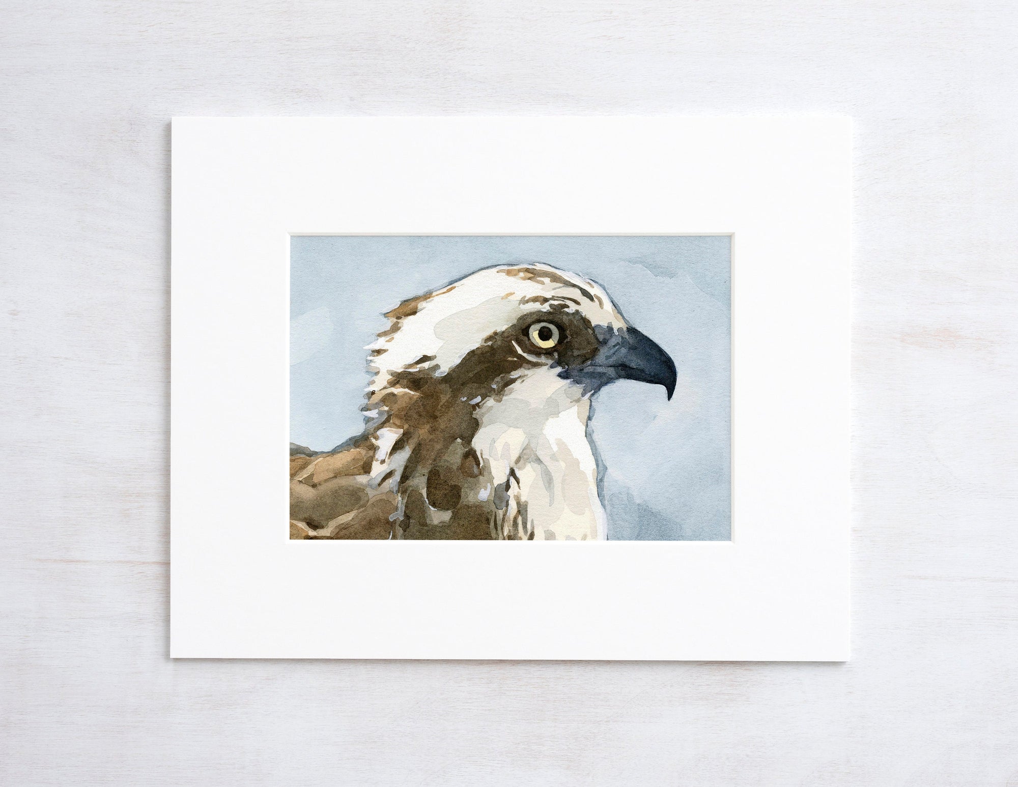 Osprey Watercolor Painting Print, Coastal Bird Wall Art Print