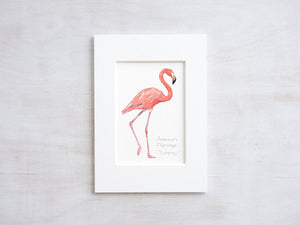 Flamingo Miniature Art Print, Tropical Coastal Bird Watercolor Painting