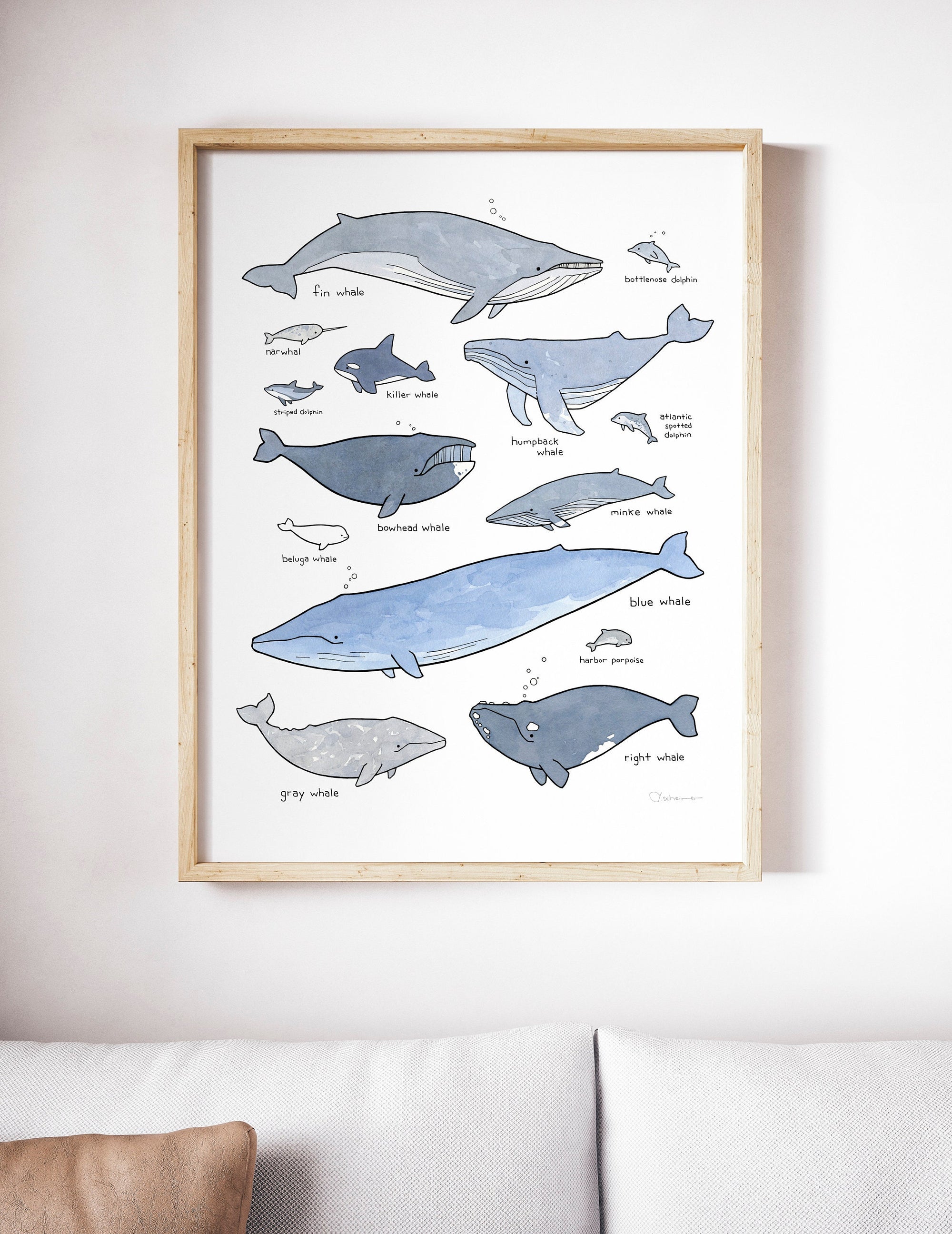 Whale Print, Nautical Nursery Whale Decor Wall Art, Whale Chart Illustration