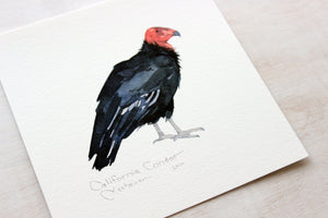 California Condor Print, Vulture Bird Watercolor Wall Art, Endangered Animal