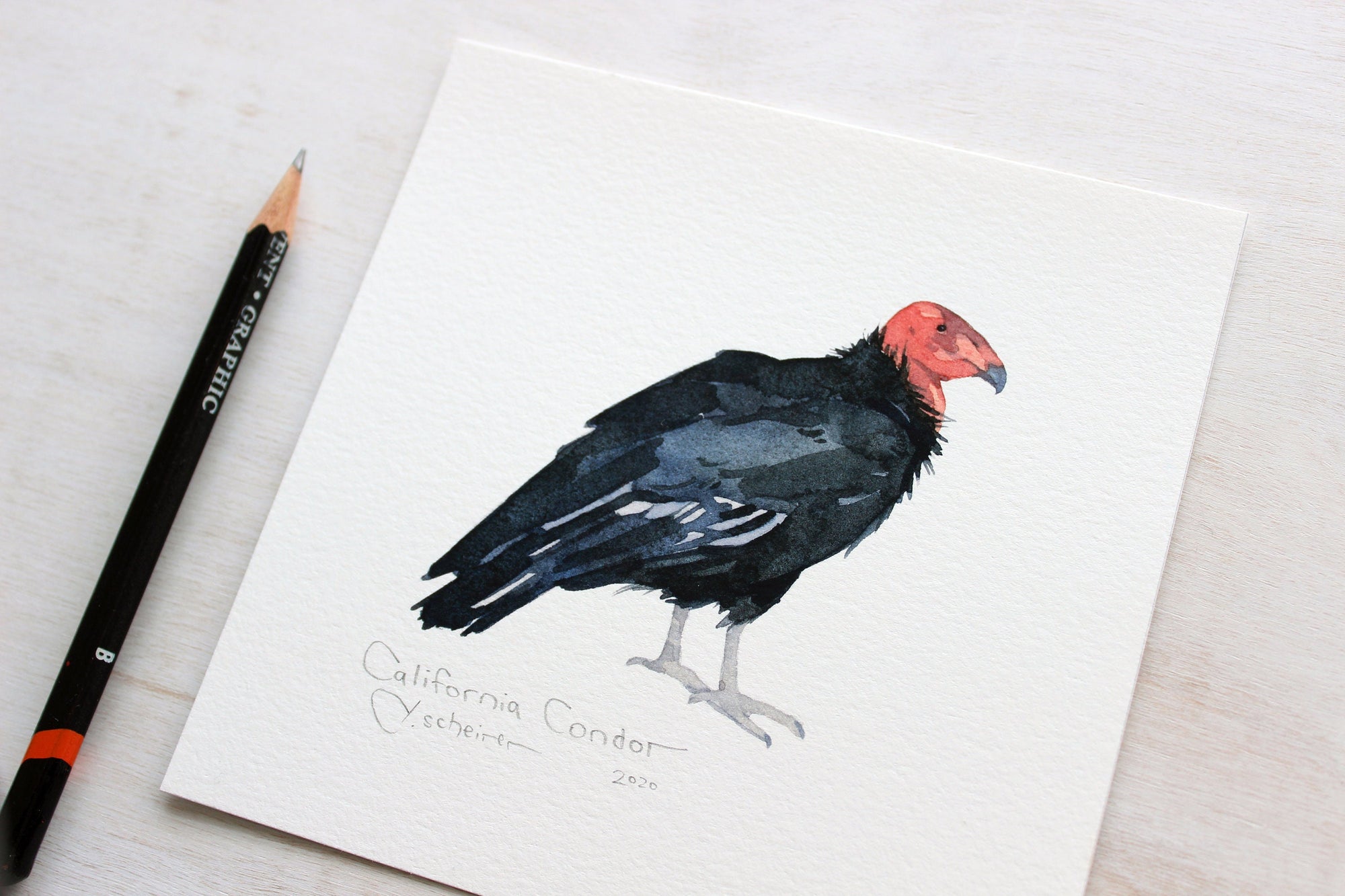 California Condor Print, Vulture Bird Watercolor Wall Art, Endangered Animal