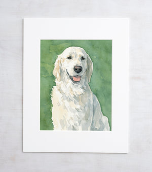 English Retriever Watercolor Limited Edition Print, White Cream Retriever Painting