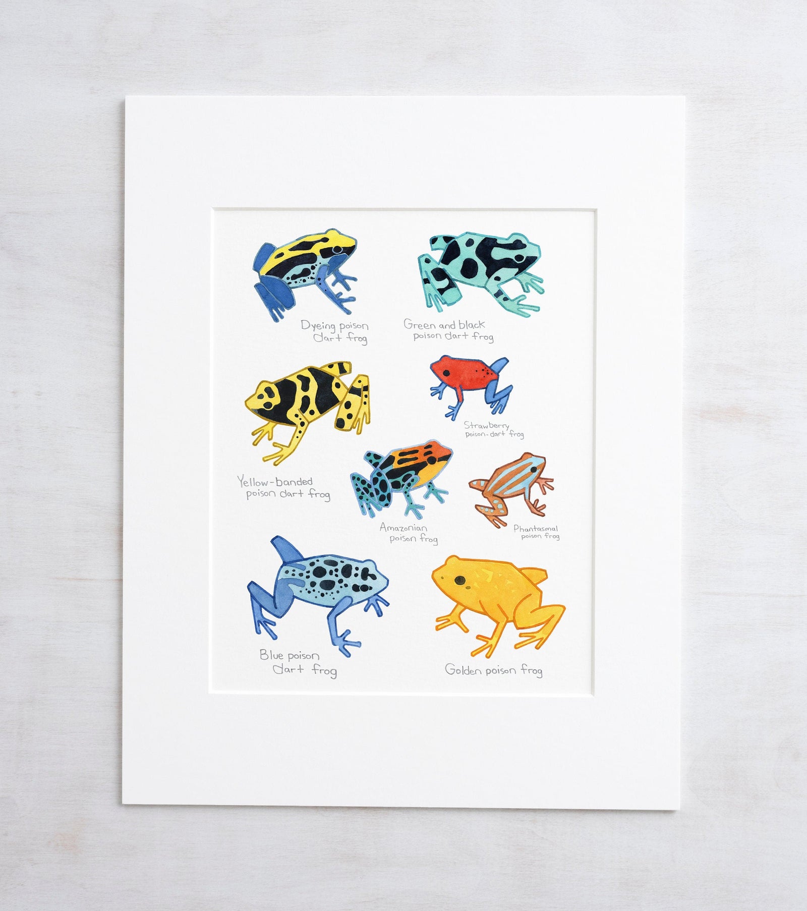 Poison Dart Frog Chart Print, Kids Room Animal Wall Art, Amphibian Education Art Poster