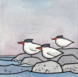 Terns Miniature Art Print, Birds Watercolor Illustration, Royal Tern Illustration