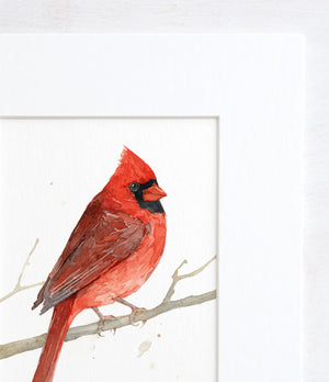Red Cardinal Watercolor Print, Bird Painting