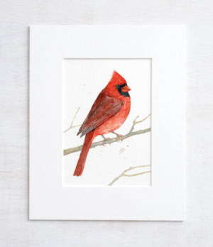 Red Cardinal Watercolor Print, Bird Painting