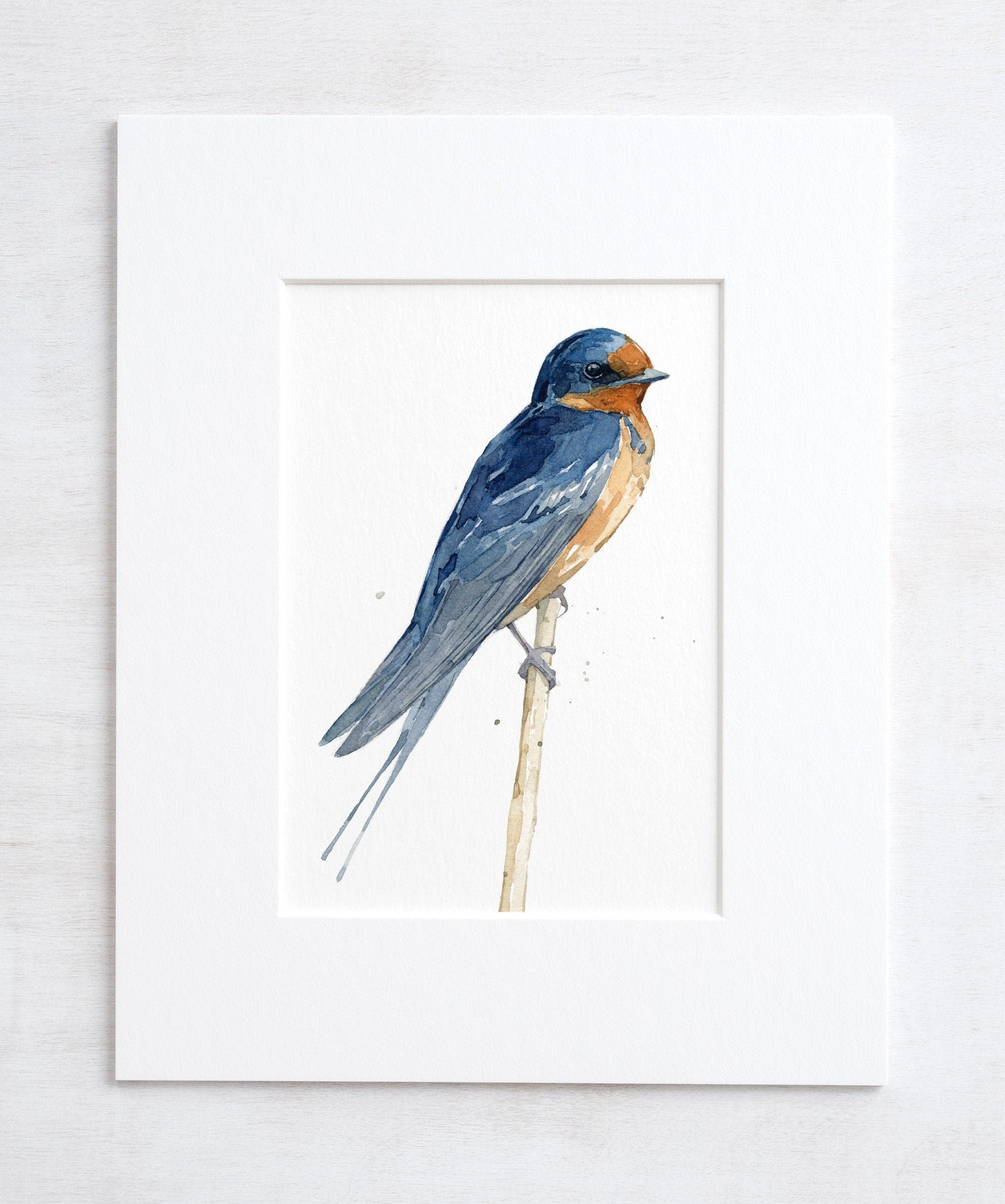 Barn Swallow Watercolor Print, Bird Painting