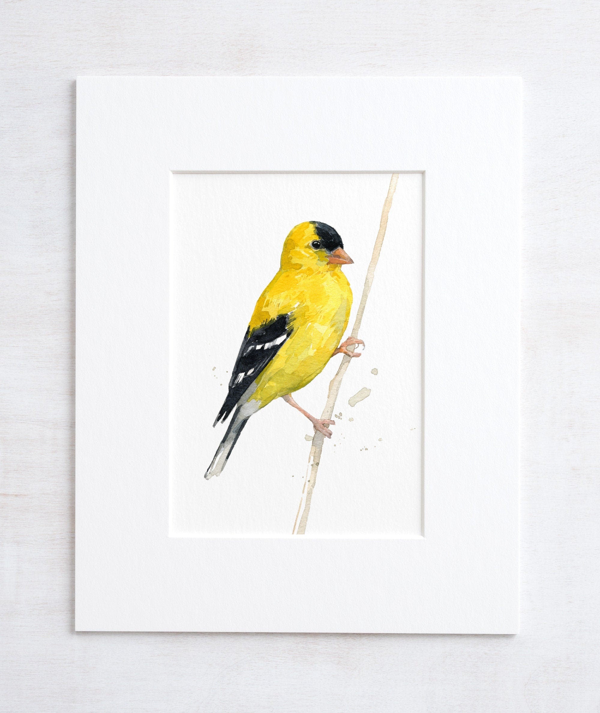 Goldfinch Watercolor Print, Bird Painting