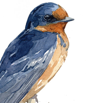 Barn Swallow Watercolor Print, Bird Painting