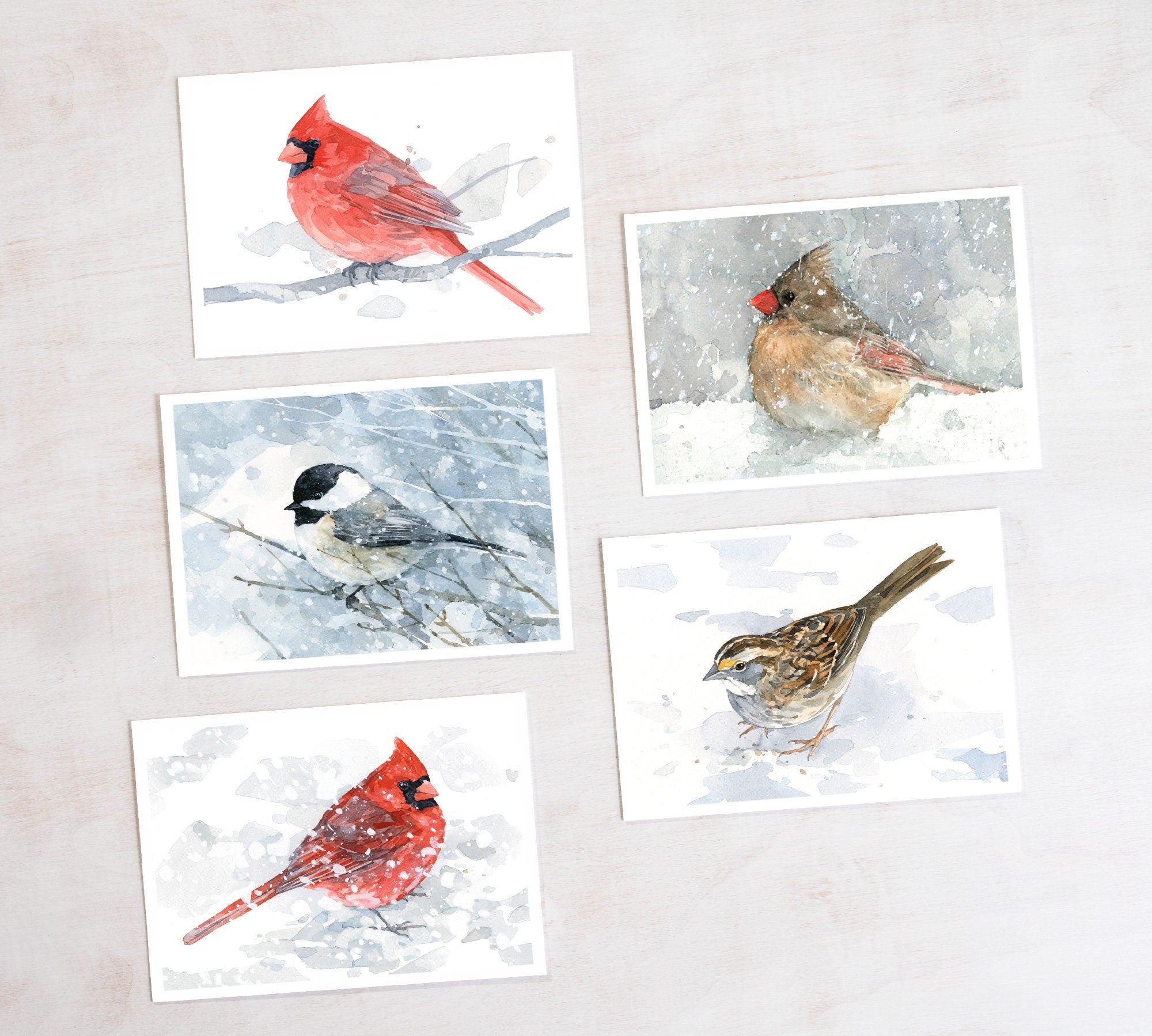 Holiday Card Set Winter Birds - 10 cards, Watercolor Winter Holiday Stationery, Cardinal, Chickadee, Sparrow, Sparrow