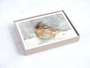Cardinals Christmas Card Set, Winter Birds in Snow Holiday Stationery, Cardinal Watercolors
