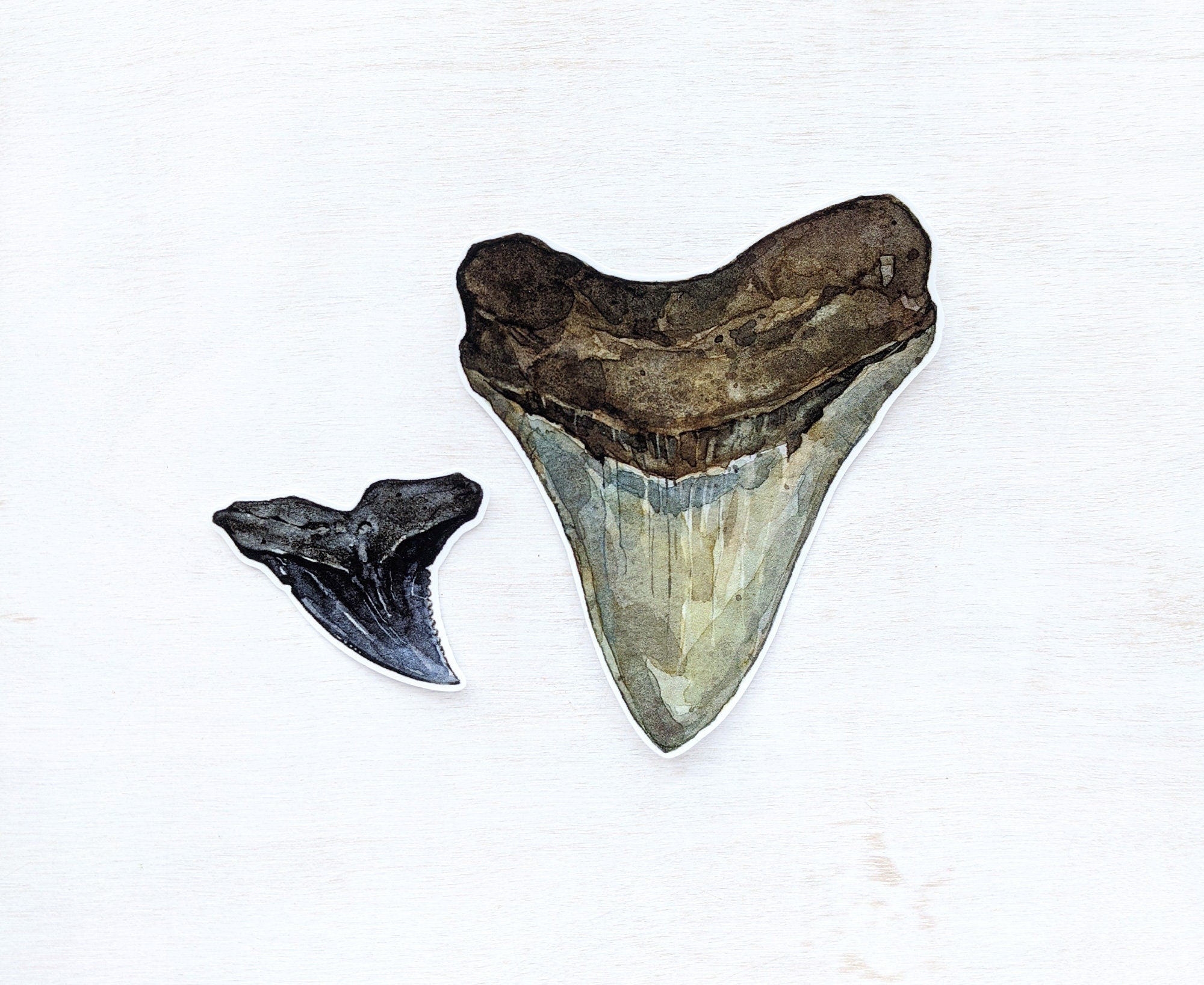Shark Teeth Stickers, Megalodon tooth art sticker