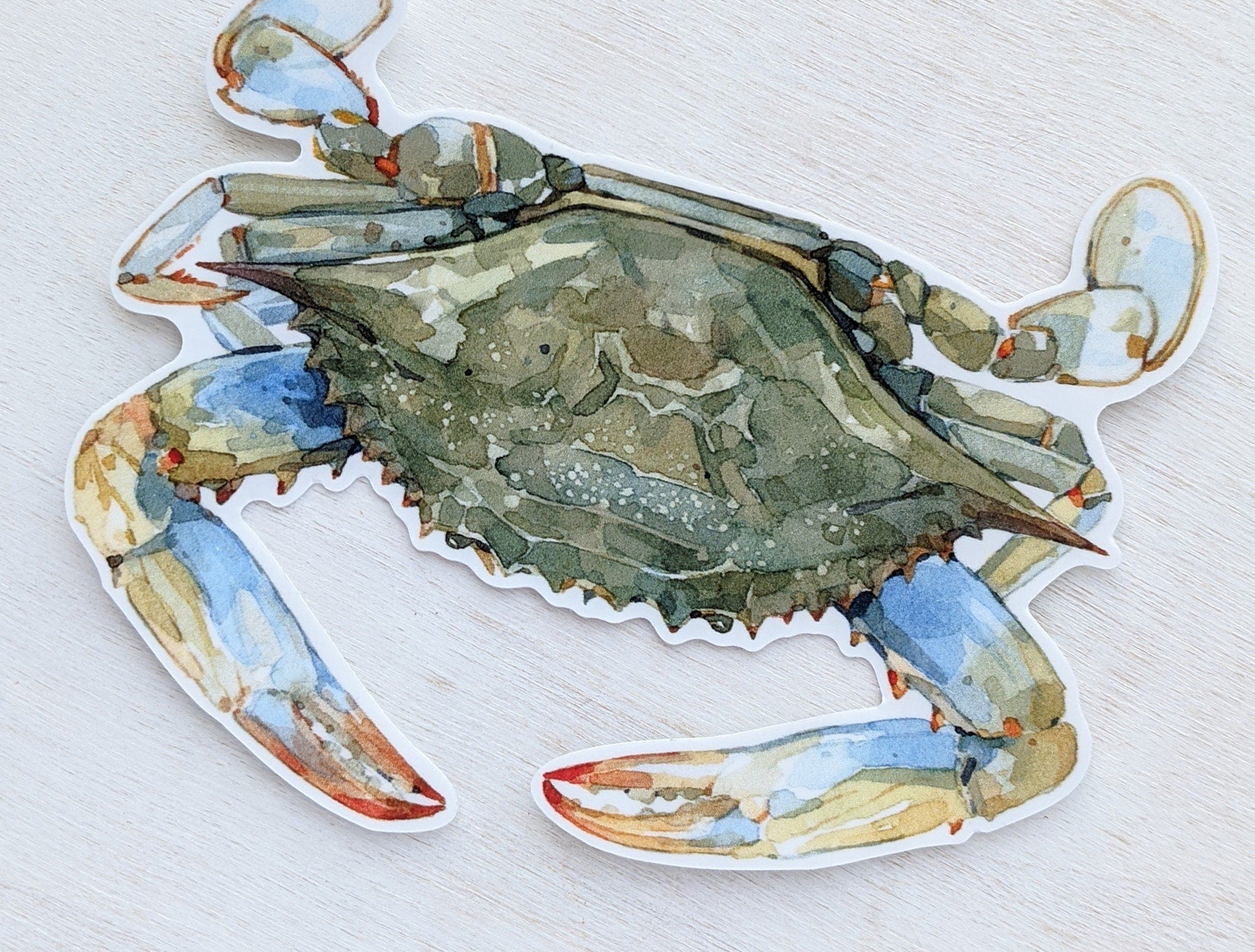 Blue Crab Sticker, Vinyl Crab Art Sticker, Maryland Crab