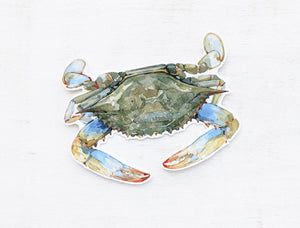 Blue Crab Sticker, Vinyl Crab Art Sticker, Maryland Crab