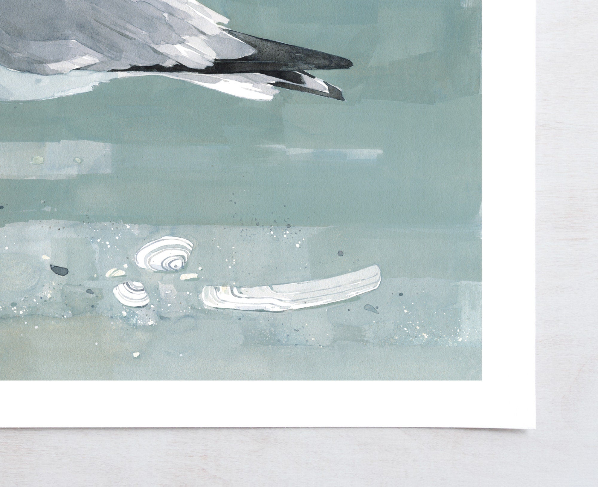 Herring Gull Beach Print, Large Seagull Nautical Bird Art