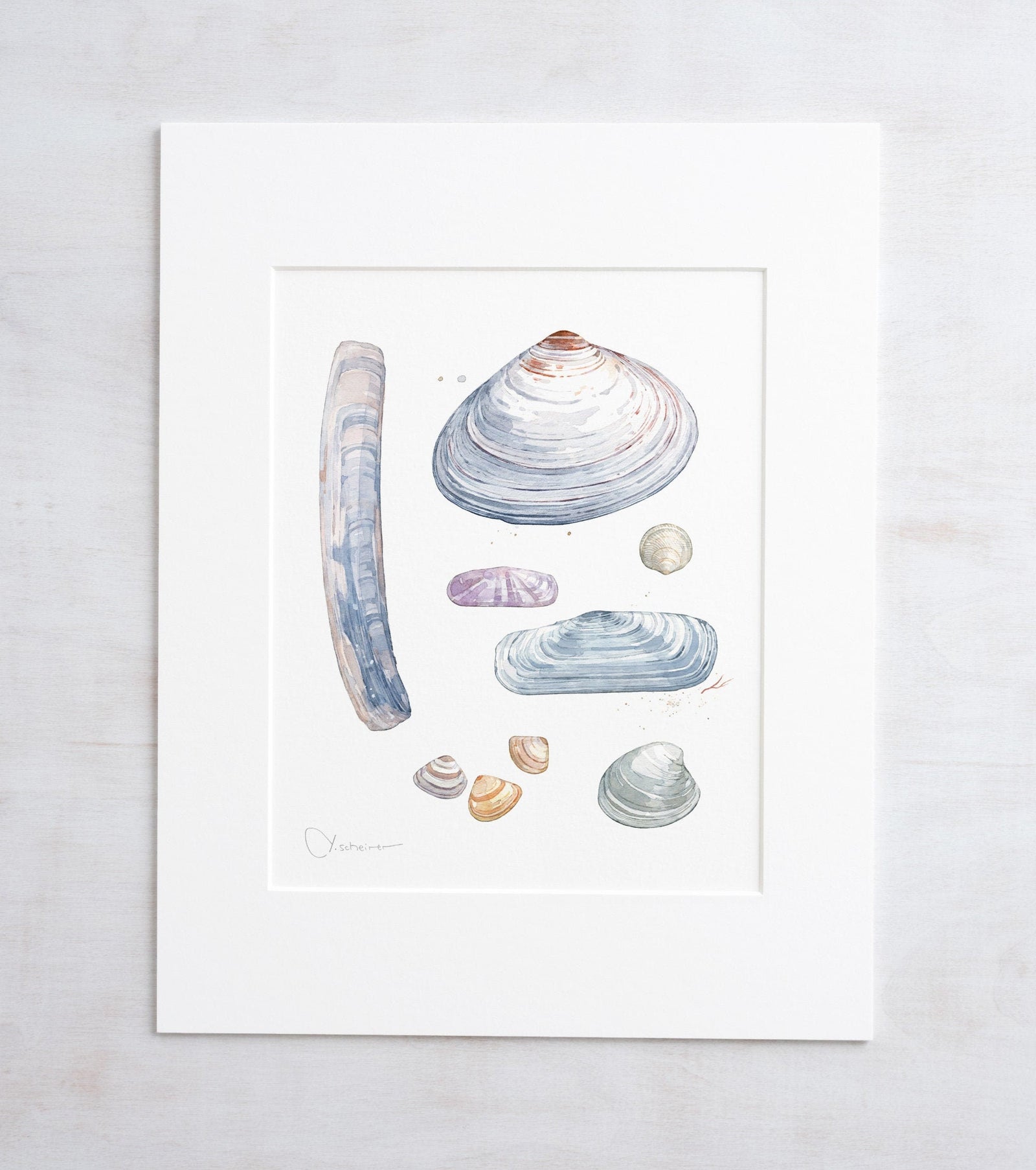 Clam Shells Watercolor Art Print, Coastal Wall Decor