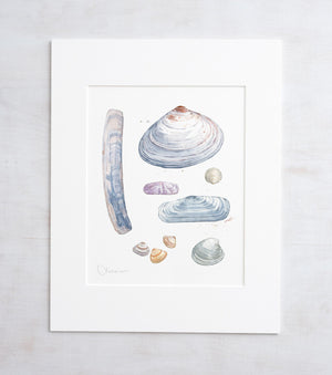 Clam Shells Watercolor Art Print, Coastal Wall Decor